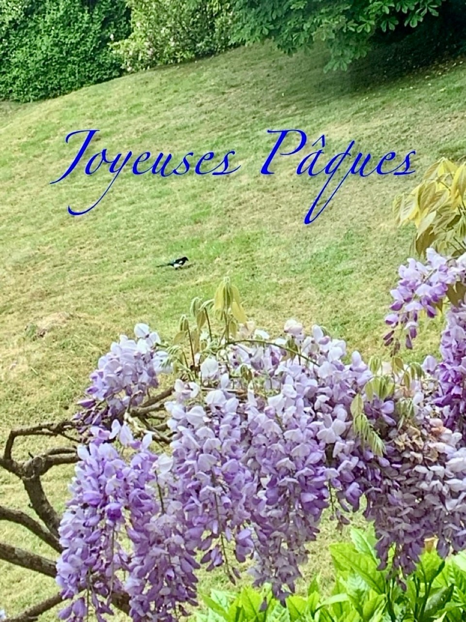 Paysage de Pâques aux Aygues